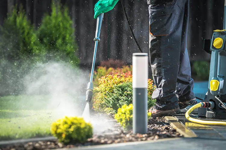 Pressure Washing Services