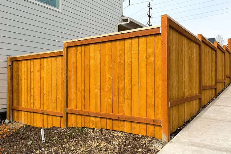 Garden Fencing