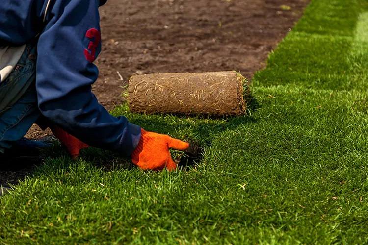 Garden Turfing