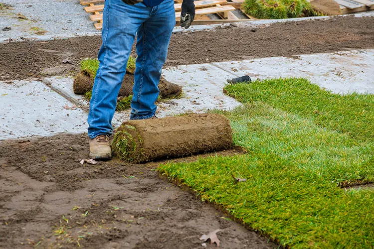 Garden Turfing