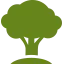 Tree Icon